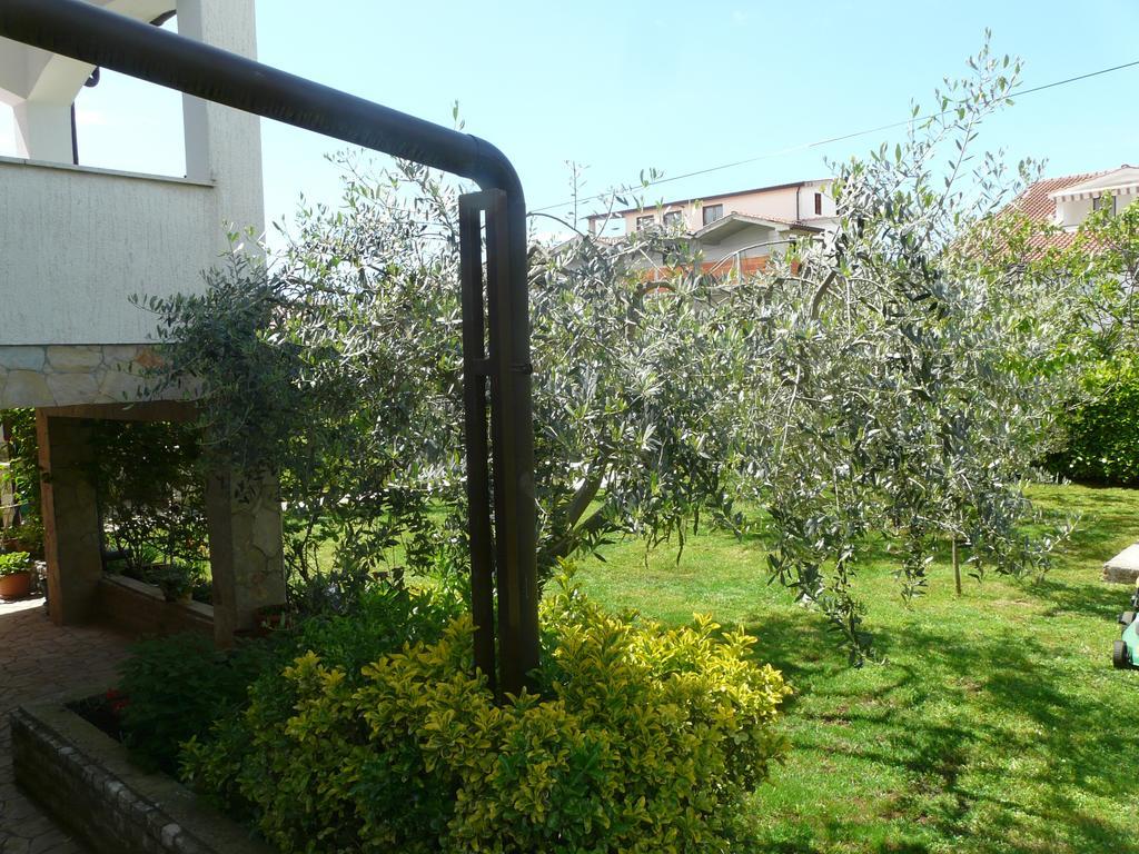 פורץ Apartments Mirela מראה חיצוני תמונה